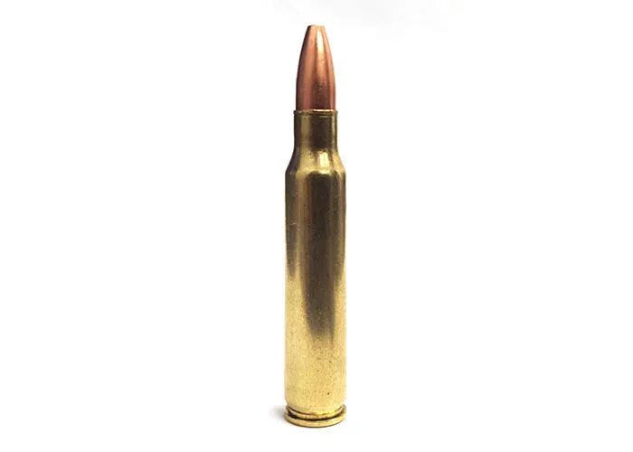 5.56x45 45 Grain Solid Copper Match. 1000 Round in Bulk Pack