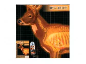 Champion Deer X-ray Target 6/Pk