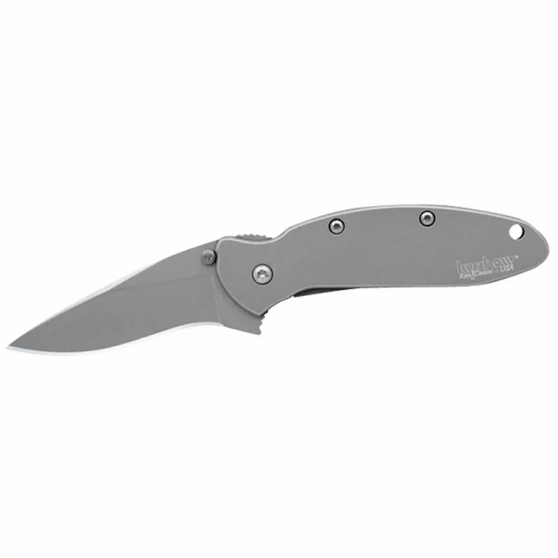 Kershaw Scallion Frame Lock Assisted Folding Knife Clip Point Plain Edge Blade 2.25"