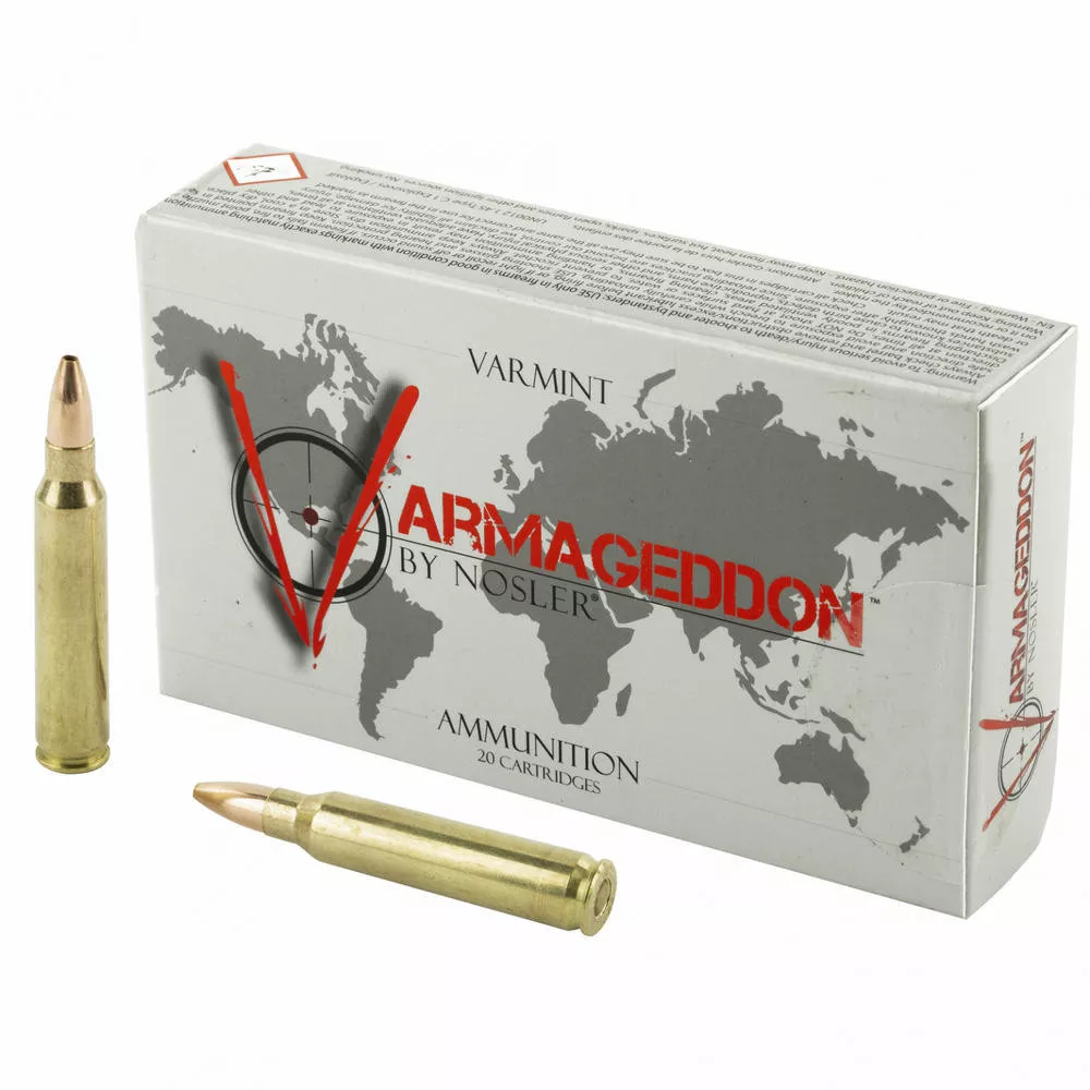 Nosler 223Rem 55 Grain Flat Base Hollow Point 20/200