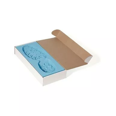 Sirchie BIO-FOAM Impression Kit