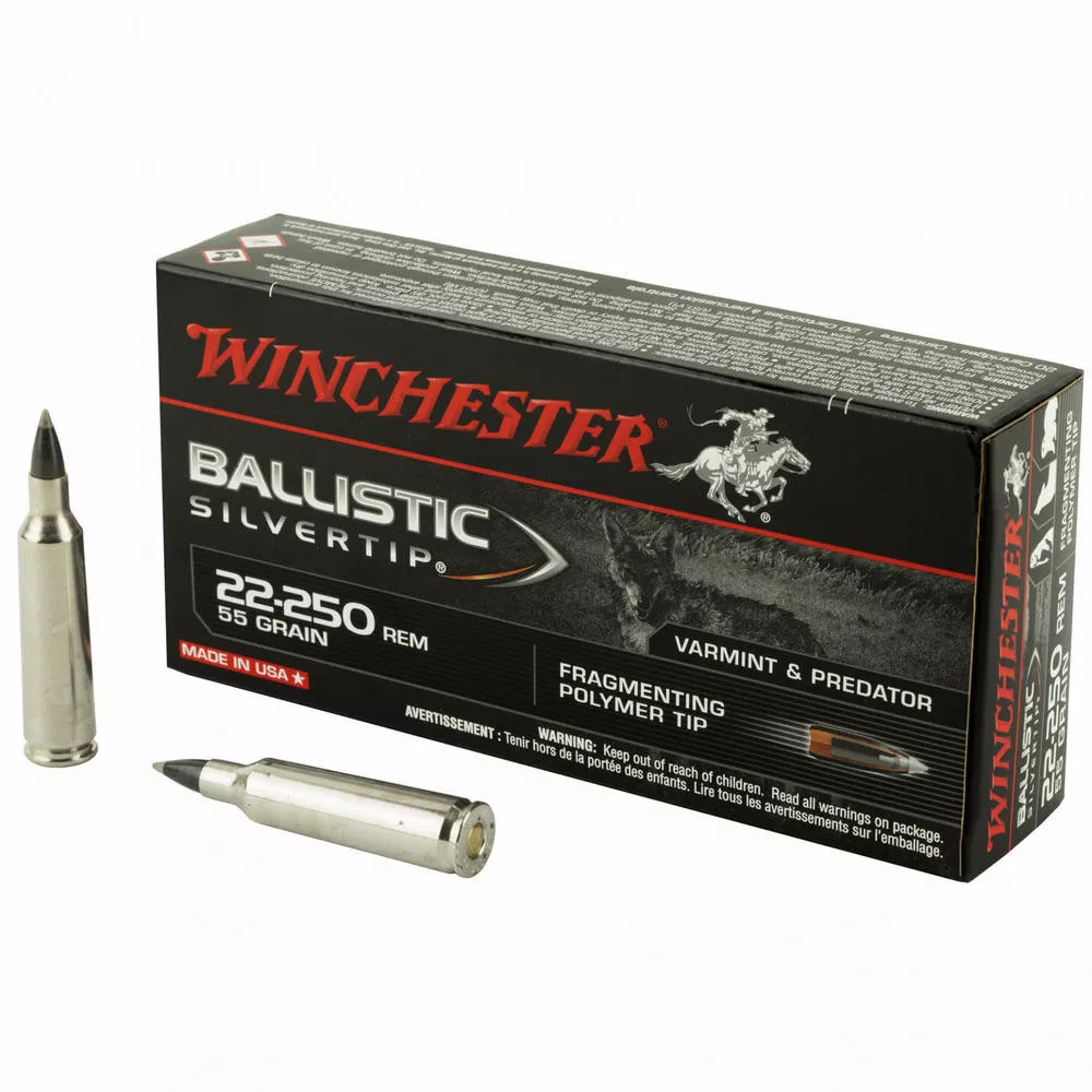 Win Ballistic Tip 22-250 55gr 20/200