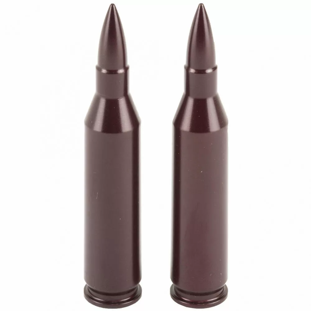 A-Zoom Snap Caps 243 Win 2Pk